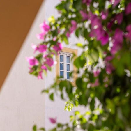 Casa Morgado Esporao Bed & Breakfast Evora Ngoại thất bức ảnh